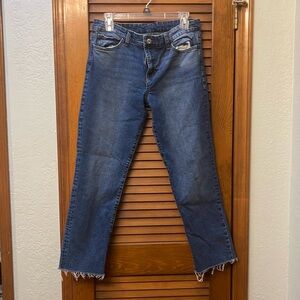 Joe’s straight leg jean size 31